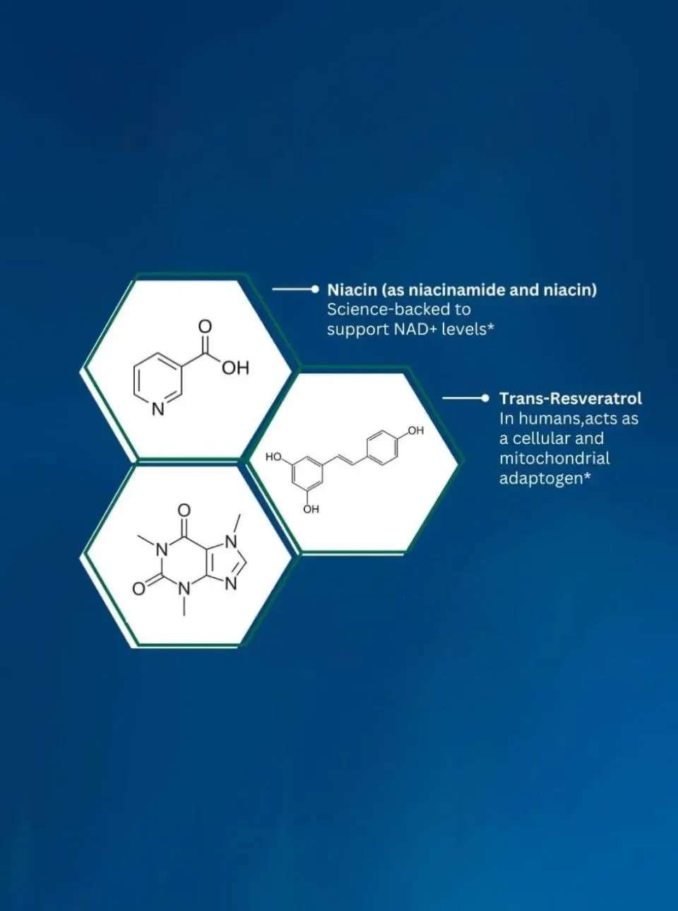 Intracellular NAD® Test (CLIA-Certified) 32 the good news optimize nad levels 3df91ff4 36235929