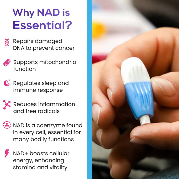 Intracellular NAD® Test (CLIA-Certified) 2 BOBSLX4MLR.PT01 77f6d5aa