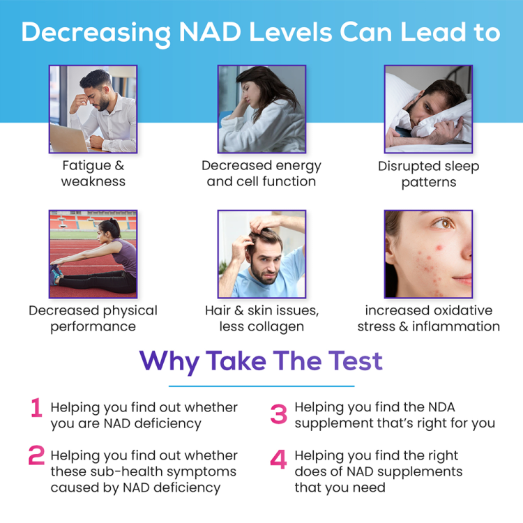 Intracellular NAD® Test (CLIA-Certified) 3 BOBSLX4MLR.PT02 bd9f8c3c